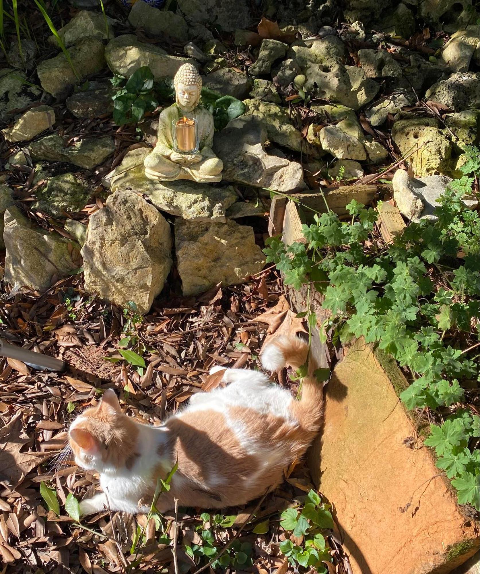 Bed and Breakfast Au Jardin Moissac Esterno foto